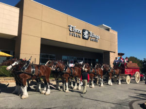 Budweiser Clydesdales